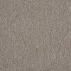 Winchester Commercial Carpet by Philadelphia Commercial in the color Buckwheat. Sample of browns carpet pattern and texture.