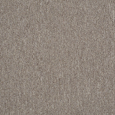 Winchester Commercial Carpet by Philadelphia Commercial in the color Buckwheat. Sample of browns carpet pattern and texture.