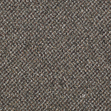 Ayers Hall Ii Commercial Carpet by Philadelphia Commercial in the color Reverence. Sample of browns carpet pattern and texture.
