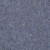 Capital Cls Commercial Carpet by Philadelphia Commercial in the color Representative. Sample of blues carpet pattern and texture.