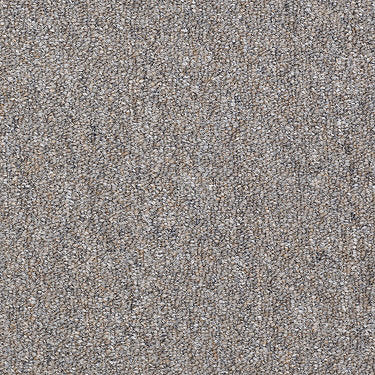 Capital Cls Commercial Carpet by Philadelphia Commercial in the color Electoral Vote. Sample of grays carpet pattern and texture.