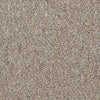 Capital Cls Commercial Carpet by Philadelphia Commercial in the color Justice. Sample of browns carpet pattern and texture.