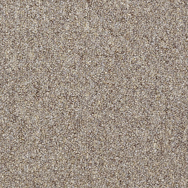 Capital Cls Commercial Carpet by Philadelphia Commercial in the color Justice. Sample of browns carpet pattern and texture.