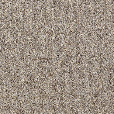 Capital Cls Commercial Carpet by Philadelphia Commercial in the color Justice. Sample of browns carpet pattern and texture.