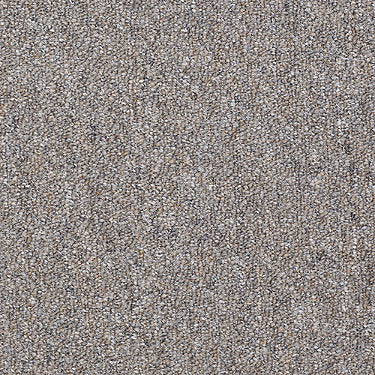 Capital Cls Uni Commercial Carpet by Philadelphia Commercial in the color Electoral Vote. Sample of grays carpet pattern and texture.