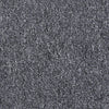 Capital Cls Uni Commercial Carpet by Philadelphia Commercial in the color Governor. Sample of grays carpet pattern and texture.