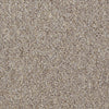 Capital Cls Uni Commercial Carpet by Philadelphia Commercial in the color Justice. Sample of browns carpet pattern and texture.