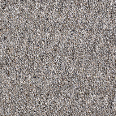 Capital Cls E3+ Commercial Carpet by Philadelphia Commercial in the color Electoral Vote. Sample of grays carpet pattern and texture.