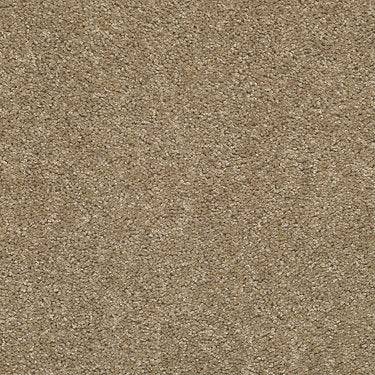Big Event Plus Residential Carpet by Shaw Floors in the color Scalloped Shell. Sample of beiges carpet pattern and texture.