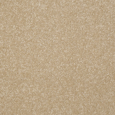 Passageway Ii 12 Residential Carpet by Shaw Floors in the color Silk. Sample of beiges carpet pattern and texture.