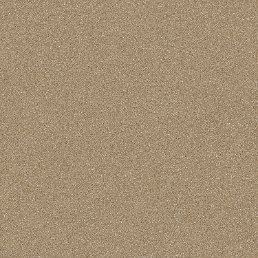 Passageway Ii 12 Residential Carpet by Shaw Floors in the color Muffin. Sample of beiges carpet pattern and texture.