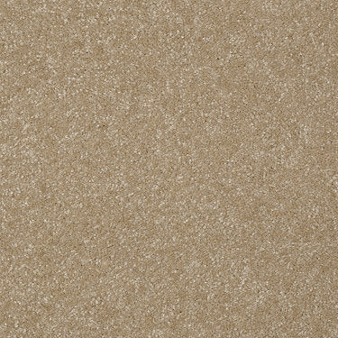 Passageway Ii 12 Residential Carpet by Shaw Floors in the color Classic Buff. Sample of beiges carpet pattern and texture.