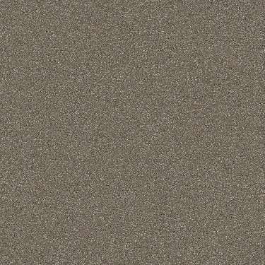 Passageway Ii 12 Residential Carpet by Shaw Floors in the color Field Stone. Sample of beiges carpet pattern and texture.