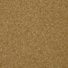 Passageway Ii 12 Residential Carpet by Shaw Floors in the color Golden Rod. Sample of golds carpet pattern and texture.