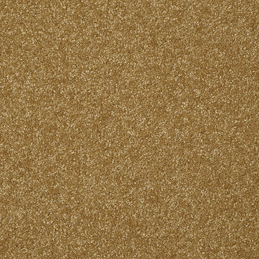 Passageway Ii 12 Residential Carpet by Shaw Floors in the color Golden Rod. Sample of golds carpet pattern and texture.