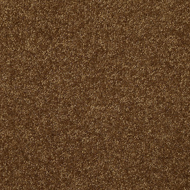 Passageway Ii 12 Residential Carpet by Shaw Floors in the color Camel. Sample of golds carpet pattern and texture.