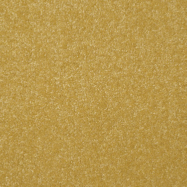 Passageway Ii 12 Residential Carpet by Shaw Floors in the color Daffodil. Sample of golds carpet pattern and texture.