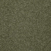 Passageway Ii 12 Residential Carpet by Shaw Floors in the color Sage Leaf. Sample of greens carpet pattern and texture.