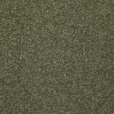 Passageway Ii 12 Residential Carpet by Shaw Floors in the color Sage Leaf. Sample of greens carpet pattern and texture.