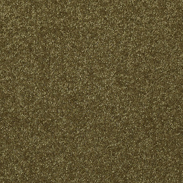 Passageway Ii 12 Residential Carpet by Shaw Floors in the color Green Apple. Sample of greens carpet pattern and texture.