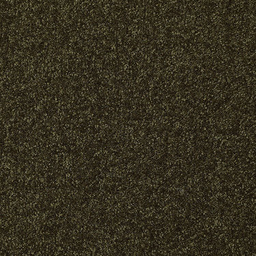 Passageway Ii 12 Residential Carpet by Shaw Floors in the color Pine. Sample of greens carpet pattern and texture.