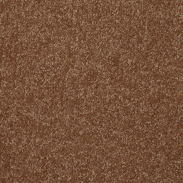 Passageway Ii 12 Residential Carpet by Shaw Floors in the color Soft Copper. Sample of oranges carpet pattern and texture.