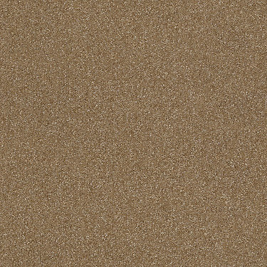 Passageway Ii 12 Residential Carpet by Shaw Floors in the color Ash Blonde. Sample of browns carpet pattern and texture.