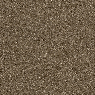 Passageway Ii 12 Residential Carpet by Shaw Floors in the color Jute. Sample of browns carpet pattern and texture.