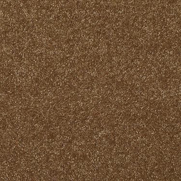 Passageway Ii 12 Residential Carpet by Shaw Floors in the color Brass Button. Sample of browns carpet pattern and texture.