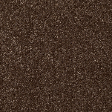 Passageway Ii 12 Residential Carpet by Shaw Floors in the color Mocha Chip. Sample of browns carpet pattern and texture.