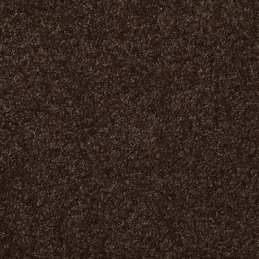 Passageway Ii 12 Residential Carpet by Shaw Floors in the color Walnut. Sample of browns carpet pattern and texture.