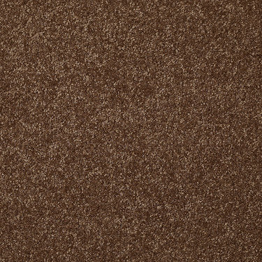 Passageway Ii 12 Residential Carpet by Shaw Floors in the color Toasty. Sample of browns carpet pattern and texture.