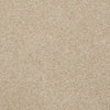 Town Creek Ii Residential Carpet by Shaw Floors in the color Ecru. Sample of beiges carpet pattern and texture.