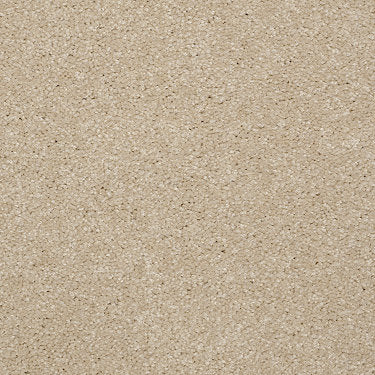 Town Creek Ii Residential Carpet by Shaw Floors in the color Ecru. Sample of beiges carpet pattern and texture.