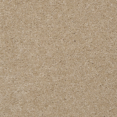 Town Creek Ii Residential Carpet by Shaw Floors in the color Sugar Cookie. Sample of beiges carpet pattern and texture.