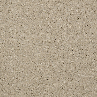 Town Creek Ii Residential Carpet by Shaw Floors in the color Linen. Sample of beiges carpet pattern and texture.