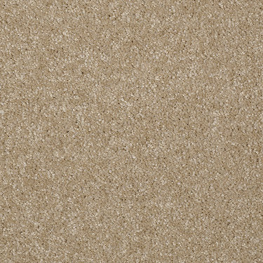 Town Creek Ii Residential Carpet by Shaw Floors in the color Classic Buff. Sample of beiges carpet pattern and texture.