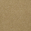 Town Creek Ii Residential Carpet by Shaw Floors in the color Butter. Sample of golds carpet pattern and texture.