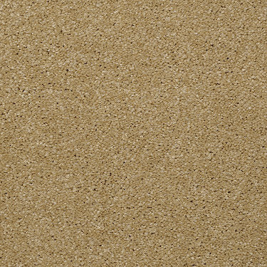 Town Creek Ii Residential Carpet by Shaw Floors in the color Butter. Sample of golds carpet pattern and texture.