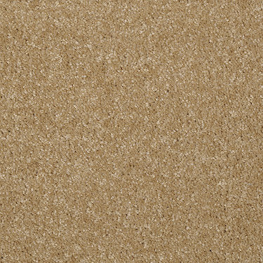 Town Creek Ii Residential Carpet by Shaw Floors in the color Straw Hat. Sample of golds carpet pattern and texture.