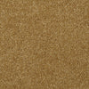 Town Creek Ii Residential Carpet by Shaw Floors in the color Golden Rod. Sample of golds carpet pattern and texture.