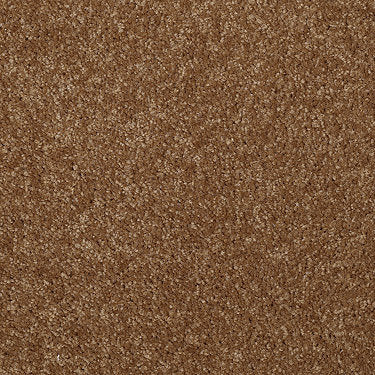 Town Creek Ii Residential Carpet by Shaw Floors in the color Pecan Shell. Sample of golds carpet pattern and texture.