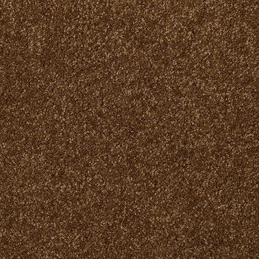 Town Creek Ii Residential Carpet by Shaw Floors in the color Camel. Sample of golds carpet pattern and texture.