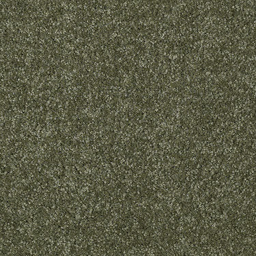 Town Creek Ii Residential Carpet by Shaw Floors in the color Sage Leaf. Sample of greens carpet pattern and texture.