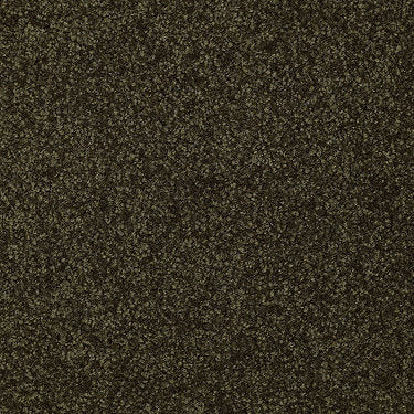 Town Creek Ii Residential Carpet by Shaw Floors in the color Pine. Sample of greens carpet pattern and texture.