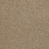 Town Creek Ii Residential Carpet by Shaw Floors in the color Sea Grass. Sample of browns carpet pattern and texture.