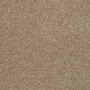 Town Creek Ii Residential Carpet by Shaw Floors in the color Sea Grass. Sample of browns carpet pattern and texture.