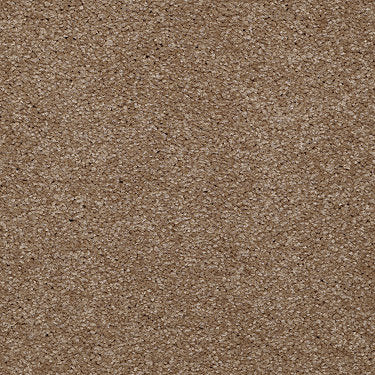 Town Creek Ii Residential Carpet by Shaw Floors in the color Ash Blonde. Sample of browns carpet pattern and texture.