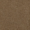 Town Creek Ii Residential Carpet by Shaw Floors in the color Belt Buckle. Sample of browns carpet pattern and texture.