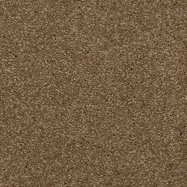 Town Creek Ii Residential Carpet by Shaw Floors in the color Belt Buckle. Sample of browns carpet pattern and texture.